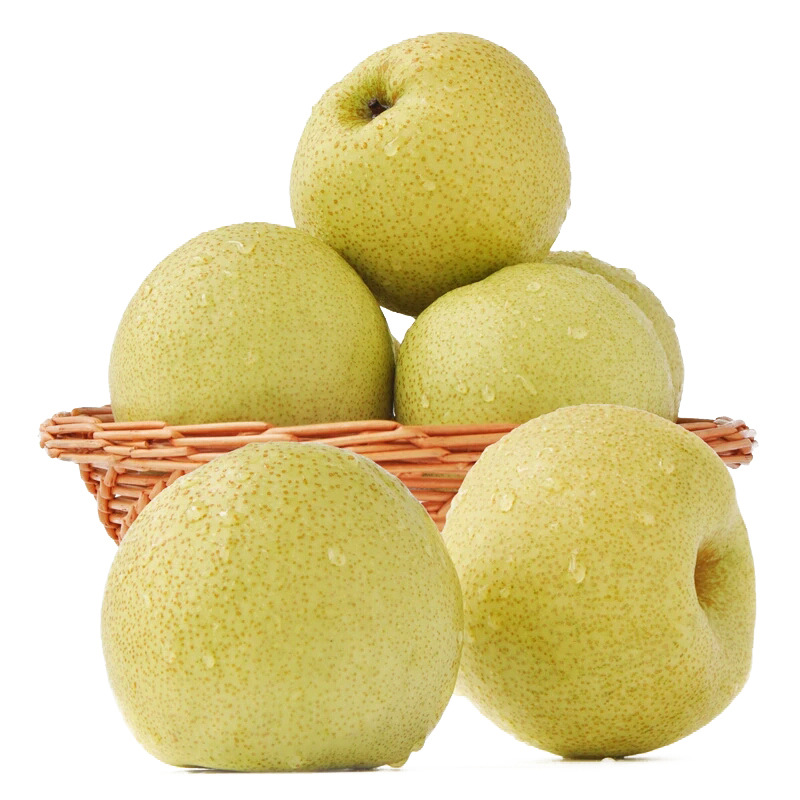 砀山酥梨 梨 早酥梨 脆甜多汁 当季新鲜水果 5斤装