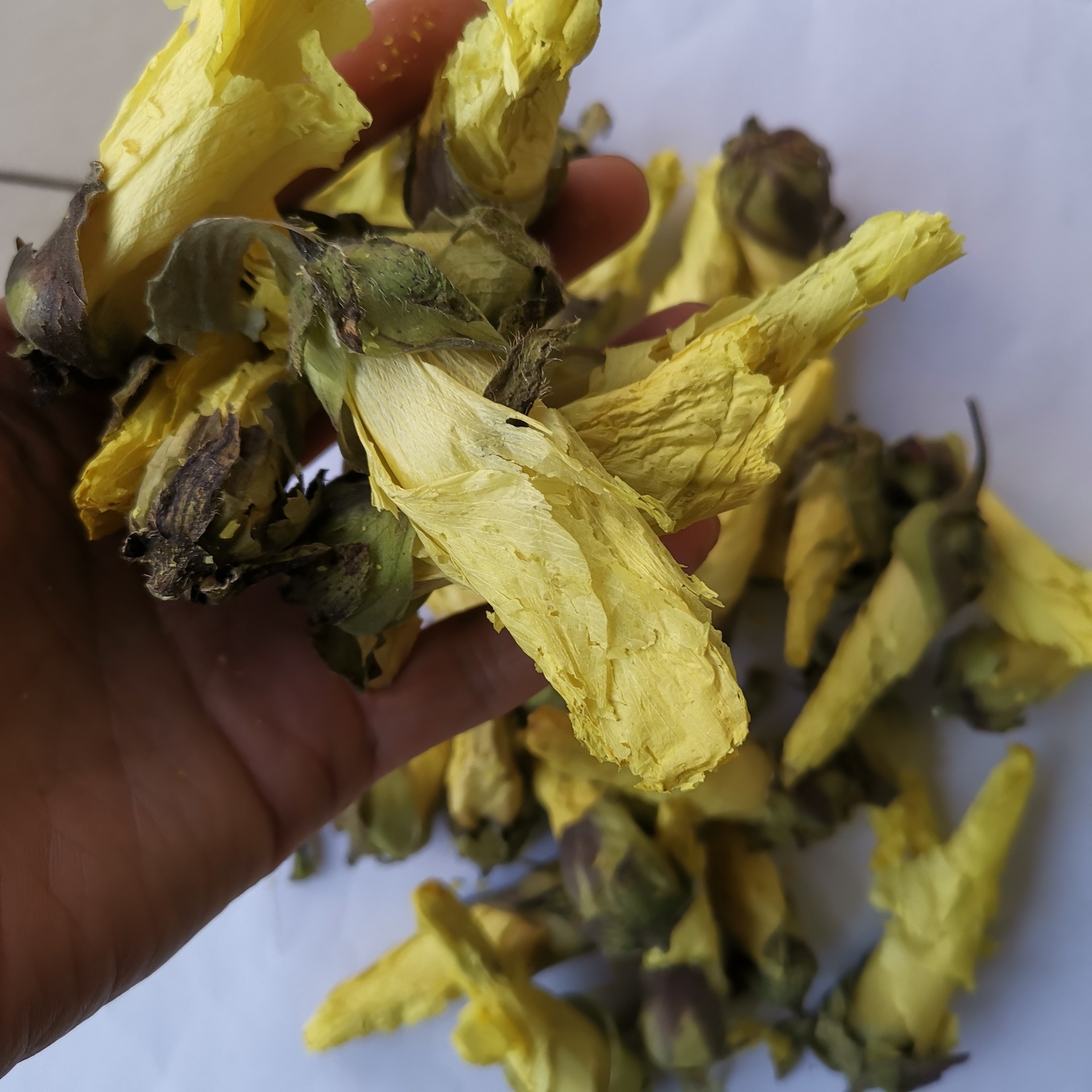 黄秋葵花黄蜀葵花 秋葵花 金花葵茶 大货供应 一件250g