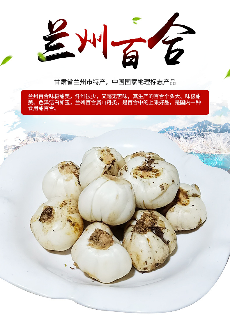 甘肃兰州特产鲜百合新鲜食用百合500g/袋 真空包装一件代发