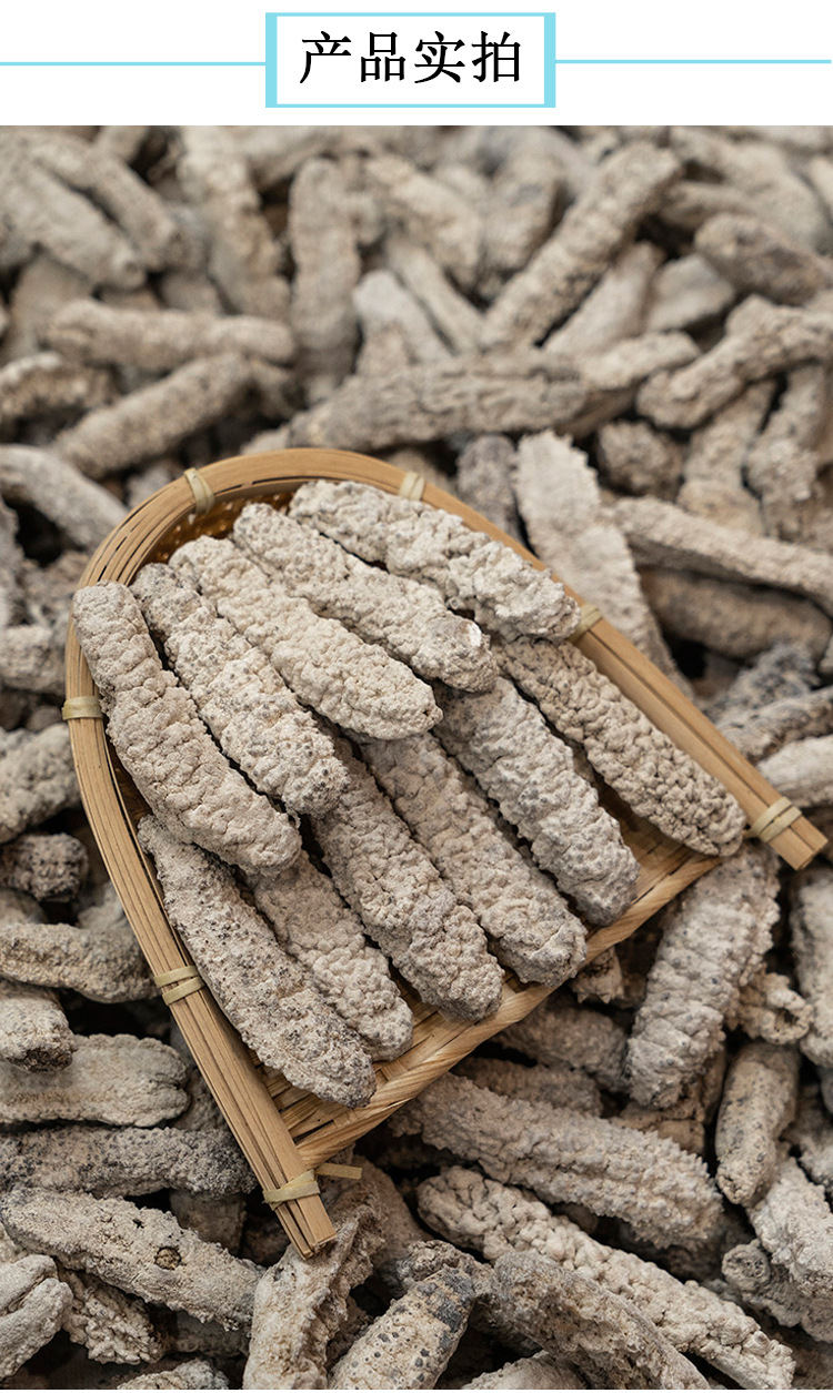 圣恒海味黄玉参15-100头白黄肉参酒店餐饮干货海味产地供应批发