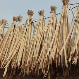 干蒲草-干蒲草批发,促销价格,产地货源 - 阿里巴巴