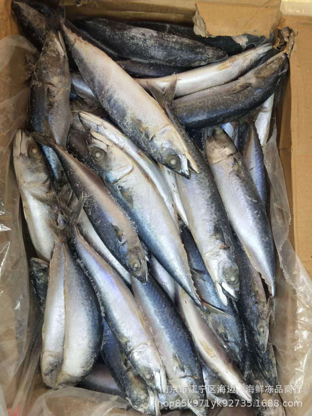 青条鱼又叫台巴鱼丶小青鱼丶量大从优商品描述用途食用储存条件冷冻