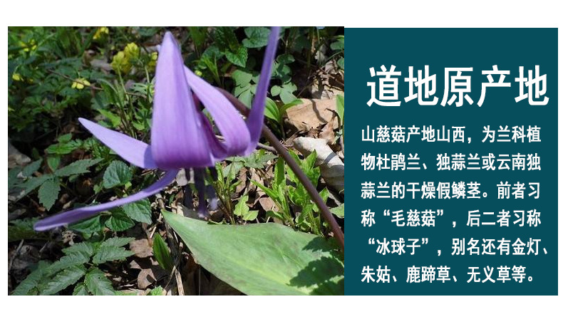 批发现货 山慈菇 毛慈菇 冰球子 无硫中药材大全一件代发诚信经营