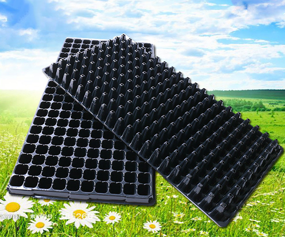 厂家供应多功能育苗穴盘加厚育苗盘黑色芽苗盘 可重复使用芽菜盘