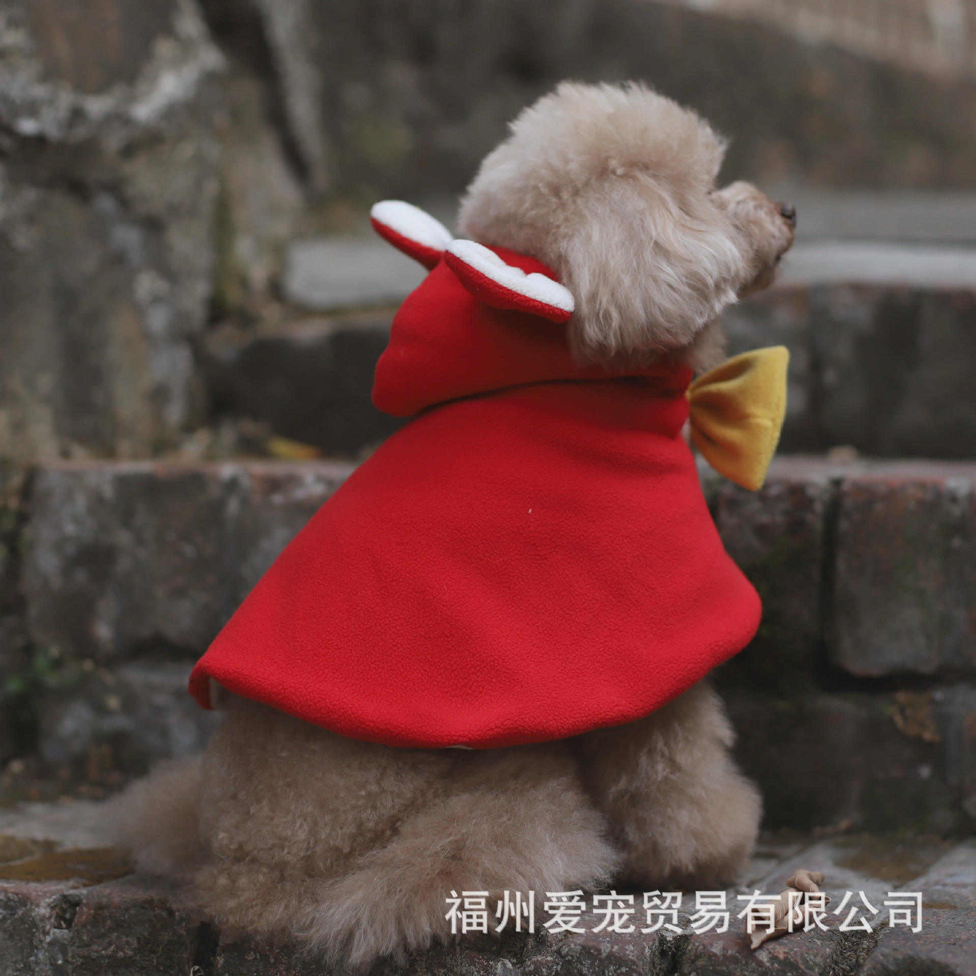 斗篷帽子宠物衣服狗狗服饰秋冬款加绒可爱泰迪博美比熊小型犬幼犬
