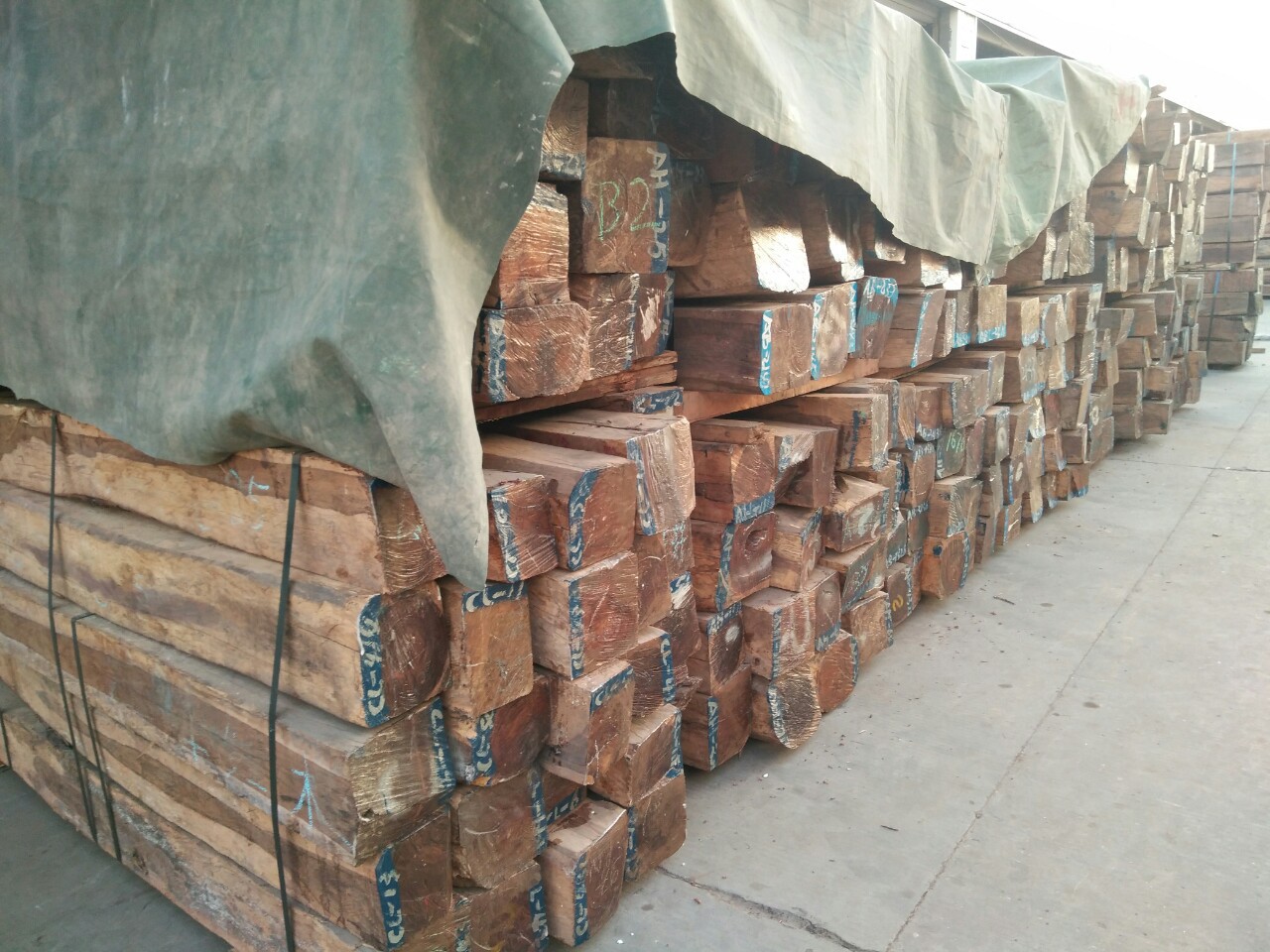 老挝花枝缅甸花枝木料 原木木材 白红酸枝木方 花枝