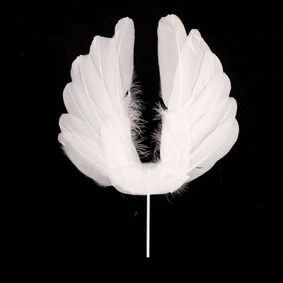 12小天使翅膀 温馨浪漫装饰生活家居装饰婚庆装饰舞台演出道具