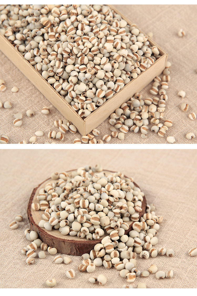 小薏仁米 贵州小薏米 薏米仁薏仁米苡仁五谷杂粮 厂家直供一件代