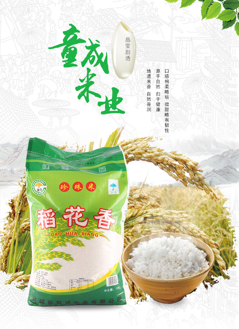 厂家直供 稻花香大米10kg珍珠米口感棉柔略粘 童成米业
