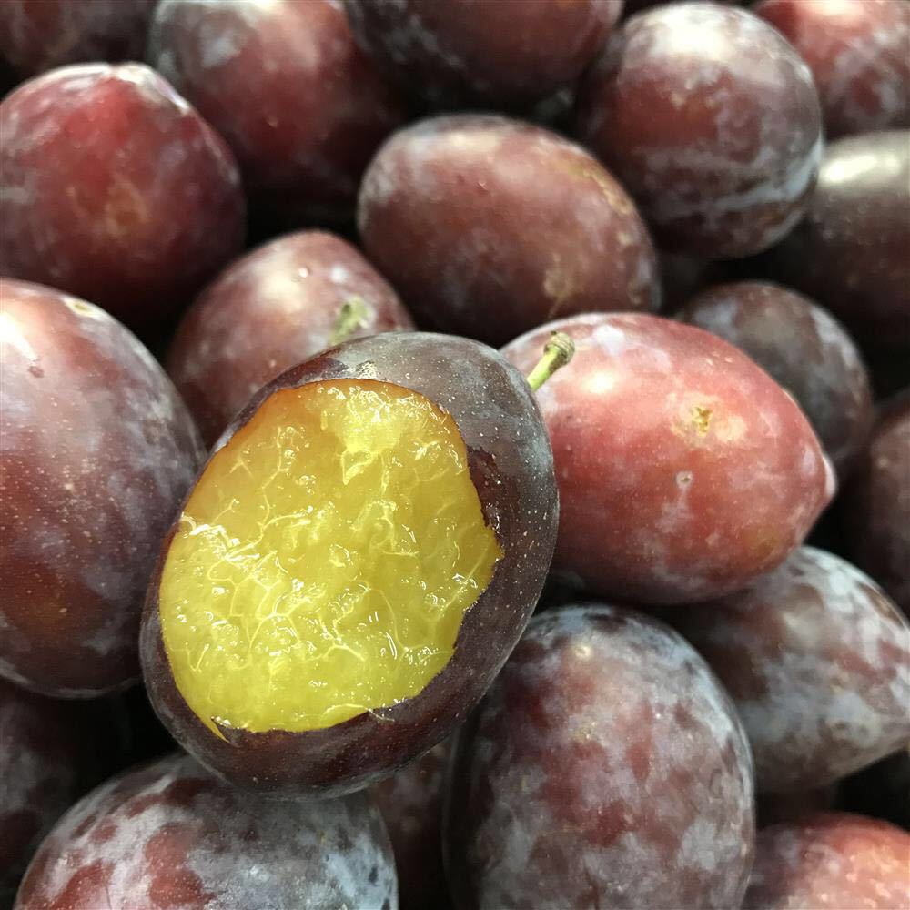 『澳洲西梅』现货大果西梅新鲜水果甜李子当季孕妇水果非智利西梅