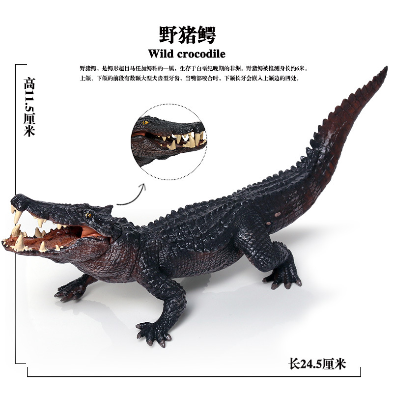 仿真实心野生动物模型儿童玩具模型野猪鳄 扬子鳄鱼车载装饰摆件