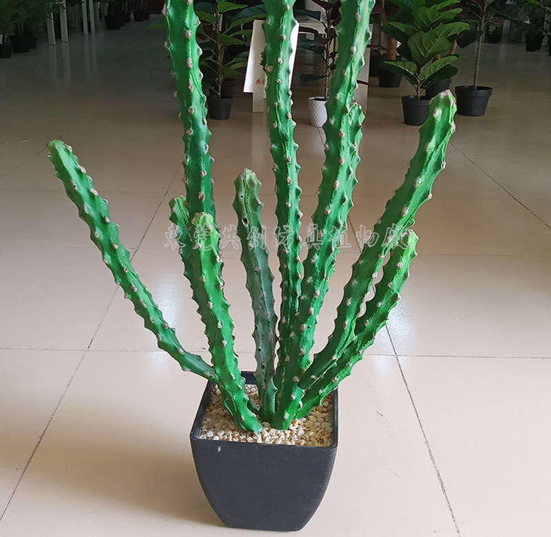 厂家供应 仿真肉类植物盆栽龙尾草 室内软装小绿植假叶龙骨草65cm