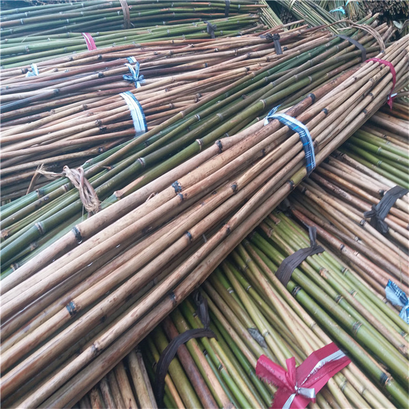 西红柿杆架 供应2米5竹架条 种植西红柿圣女果搭架用的竹架竿