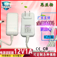 IC方案12v1a白色电源适配器12W美容美甲LED打印笔开关监控充电器