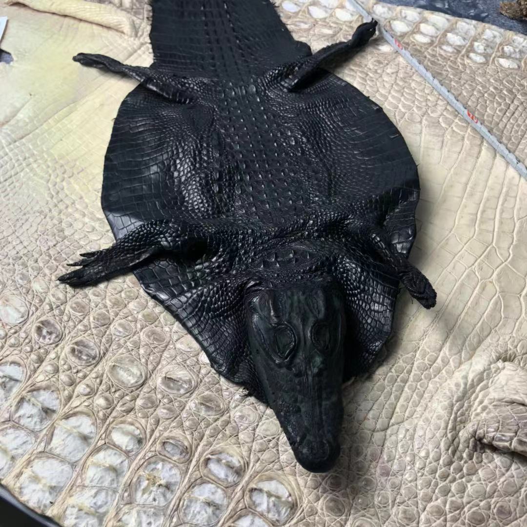 整条鳄鱼皮diy鳄鱼皮整张带头真皮手工鳄鱼皮标本皮现货