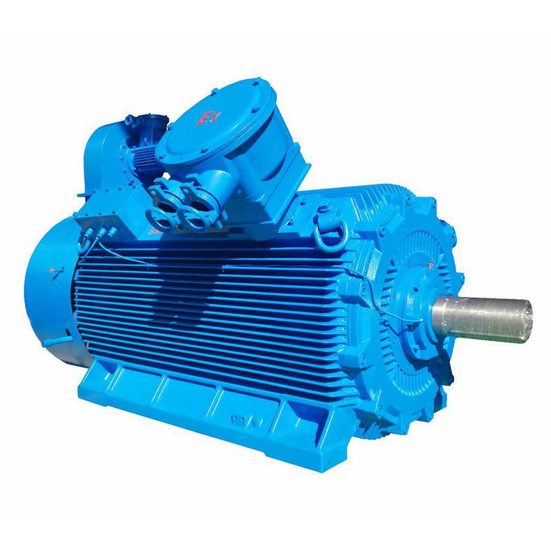 生产供应10000v高压电机 水泵专用高压电机 防水高压电机