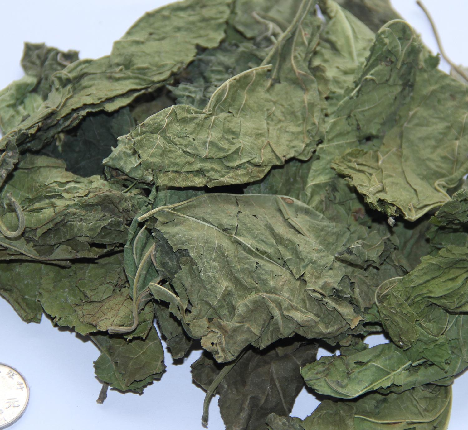 中草堂 一斤装 双叶 霜叶 桑白叶 桑叶 霜桑叶 免费打粉