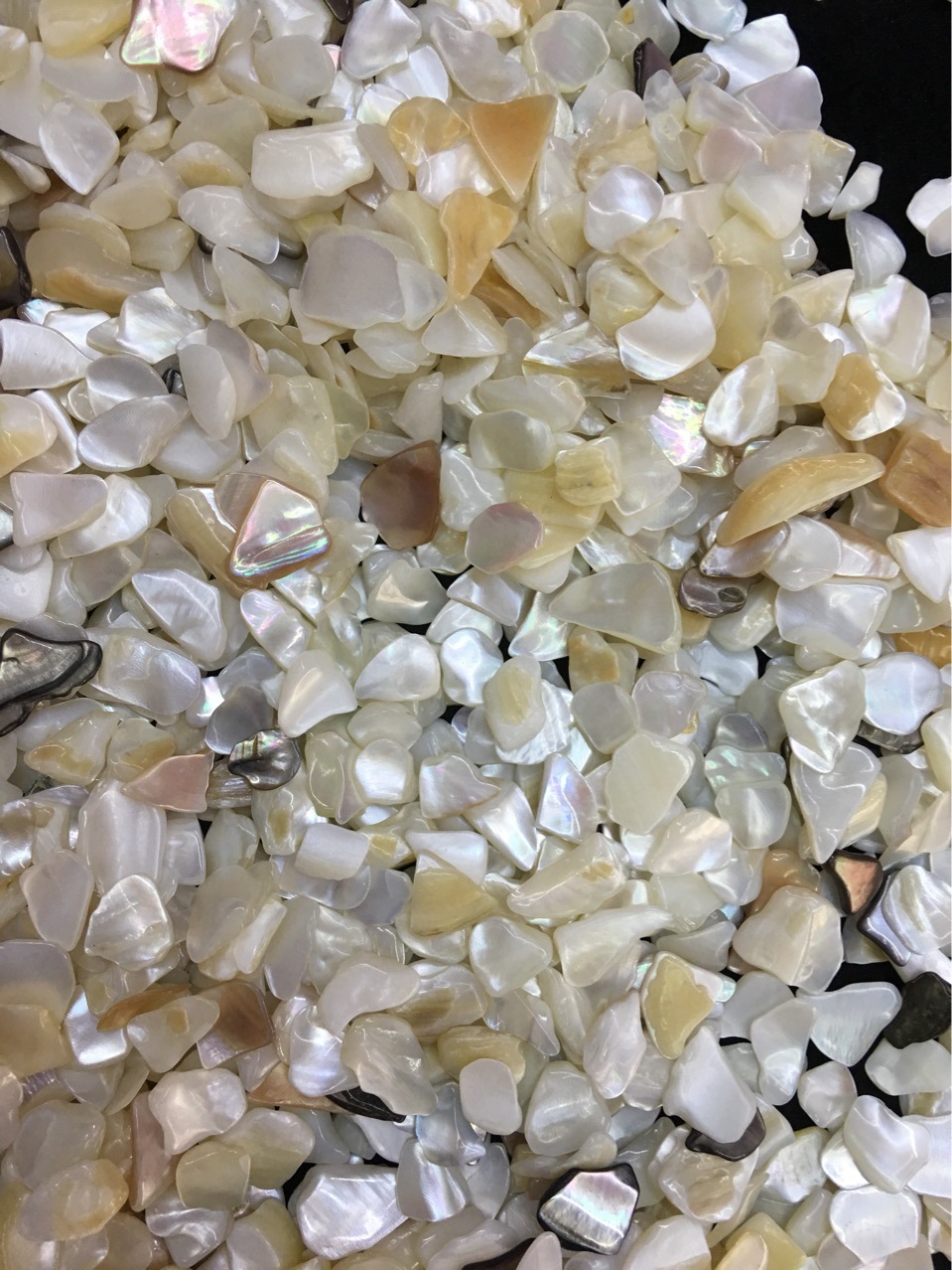 贝壳碎片新款日系星月美甲饰品异形铆钉平底水钻贝壳片