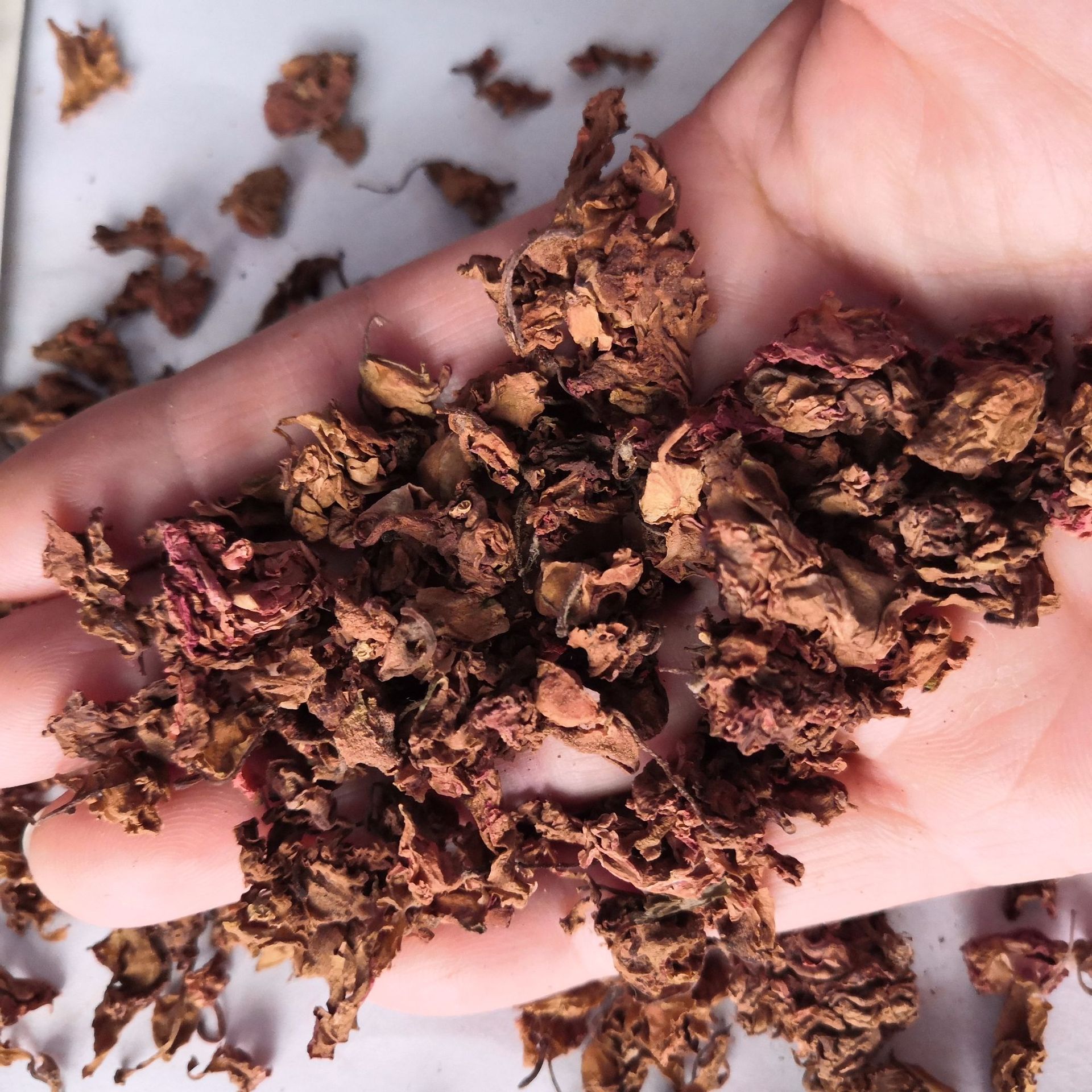 中药材凤仙花批发零售凤仙花指甲花金凤花洒金花无硫新货