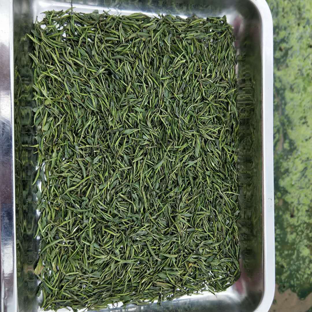 贵州茶叶青针湄潭翠芽竹叶茶2020新茶高山云雾绿茶批发500g清香型
