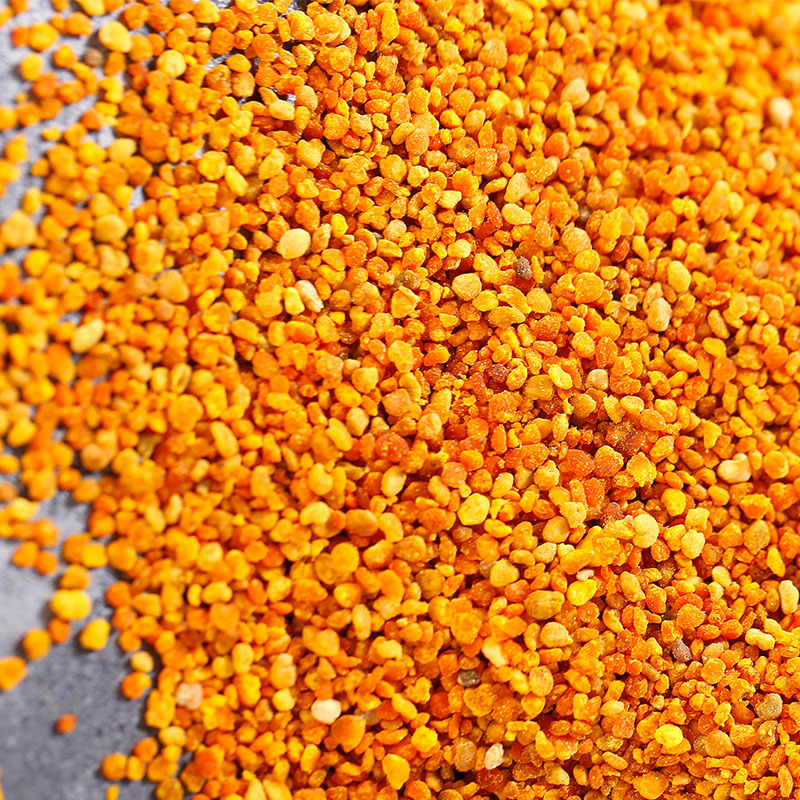 华鼎晟巢葵花粉颗粒生产加工蜂花粉食用养蜂喂蜂批发零售