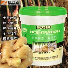 葱姜蒜专用肥 20kg桶装液体肥 黄腐酸钾冲施肥 生根壮苗 控上促下