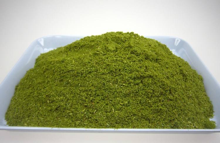 现货销售松针粉饲料添加专用 量大优惠 欢迎新老客户订购洽谈