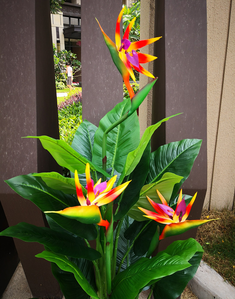 旅人蕉酒店大厅摆放绿植 盆栽室内外摆设假树 天堂鸟红掌假花树