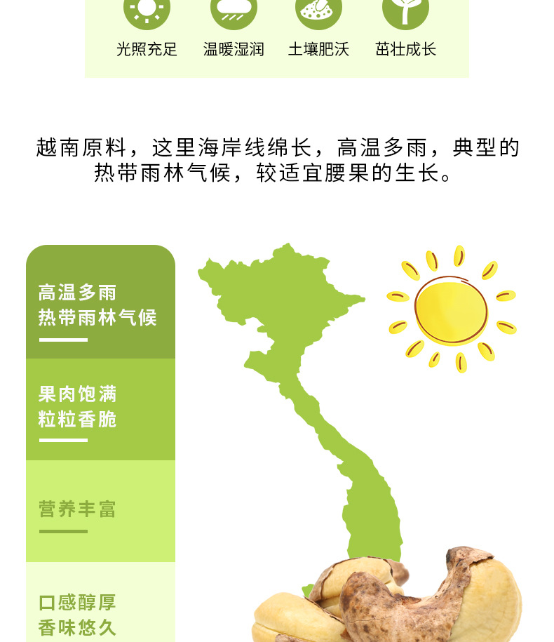 越南腰果安迪熊炭烧盐焗小罐黑装烘烤坚果干果仁孕妇零食特产