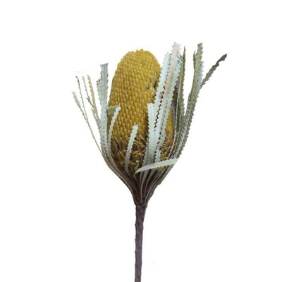 高端典雅大气商务佛塔干花永生花家居装饰 无需水养直接放置干花