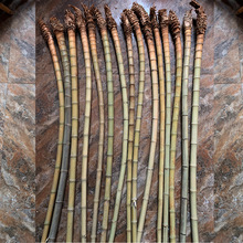厂家小竹根原料竹根竹鞭竹头材料手把件渔具原材料根雕拐杖料热卖