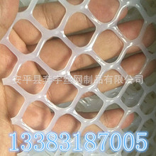 厂家生产 供应 白色熟胶 全新料 尼龙圆孔网 菱形孔网 可按需定制