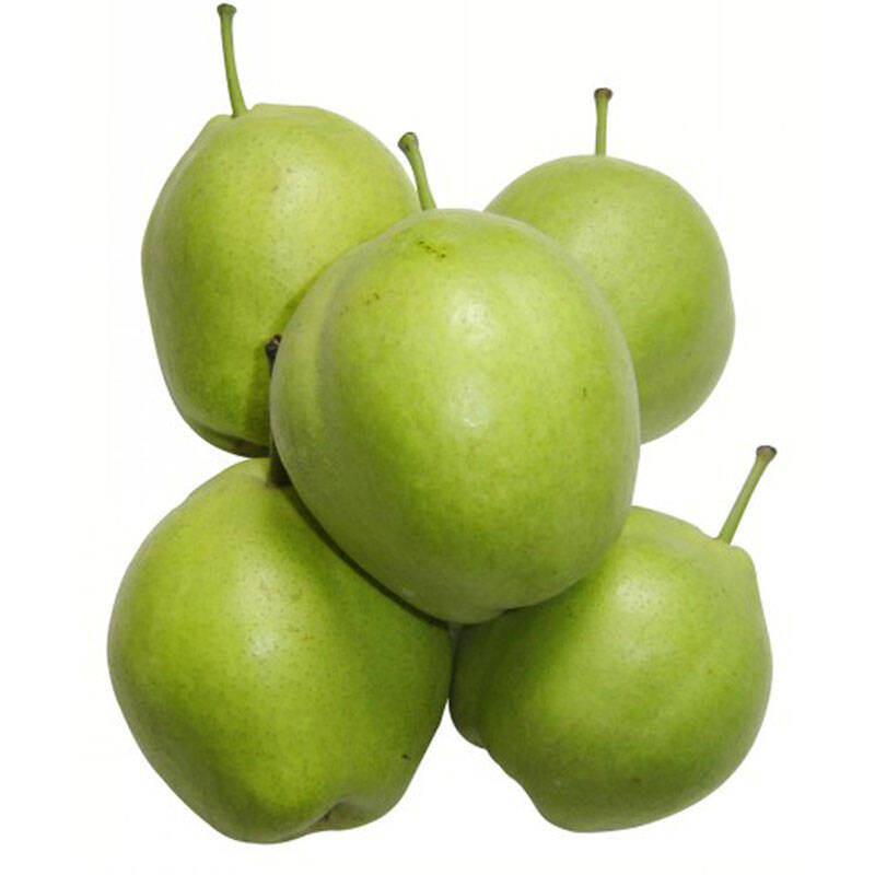陕西早酥梨青皮梨现摘现发纸箱时令新鲜水果产地直销一件代发