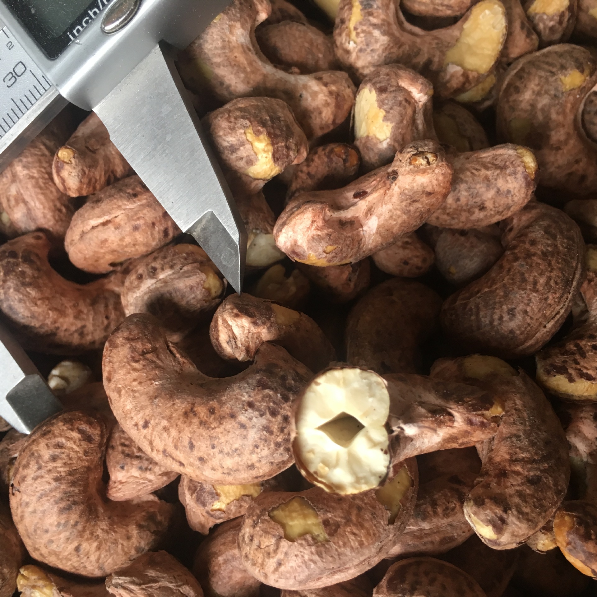 170 大腰果 虎皮腰果 500g /袋装 香味十足 酥脆爽口 新疆直发