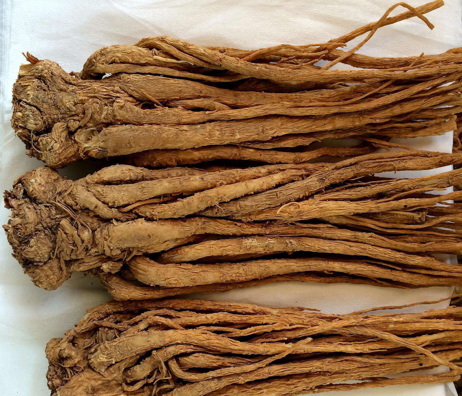 当归对男人有什么好处?可以来了解看看!