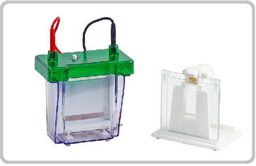 单板垂直电泳槽 北京单板垂直电泳槽 单板垂直电泳槽厂家