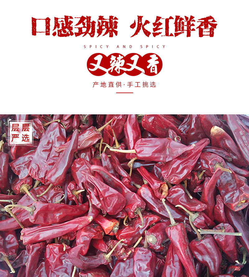 青岛厂家 益都红辣椒 5-7cm微辣中辣饭店火锅底料香料可切辣椒段