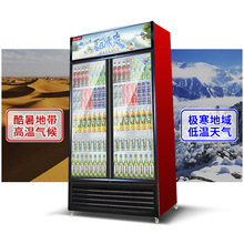 晟朗超市商用冷藏柜低温保鲜展示柜大容量冷冻冰柜