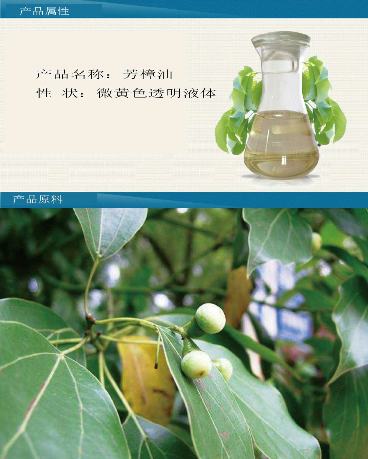 厂家直销 蒸馏提取 芳樟油 85%含量芳樟醇 香樟油 现货供应