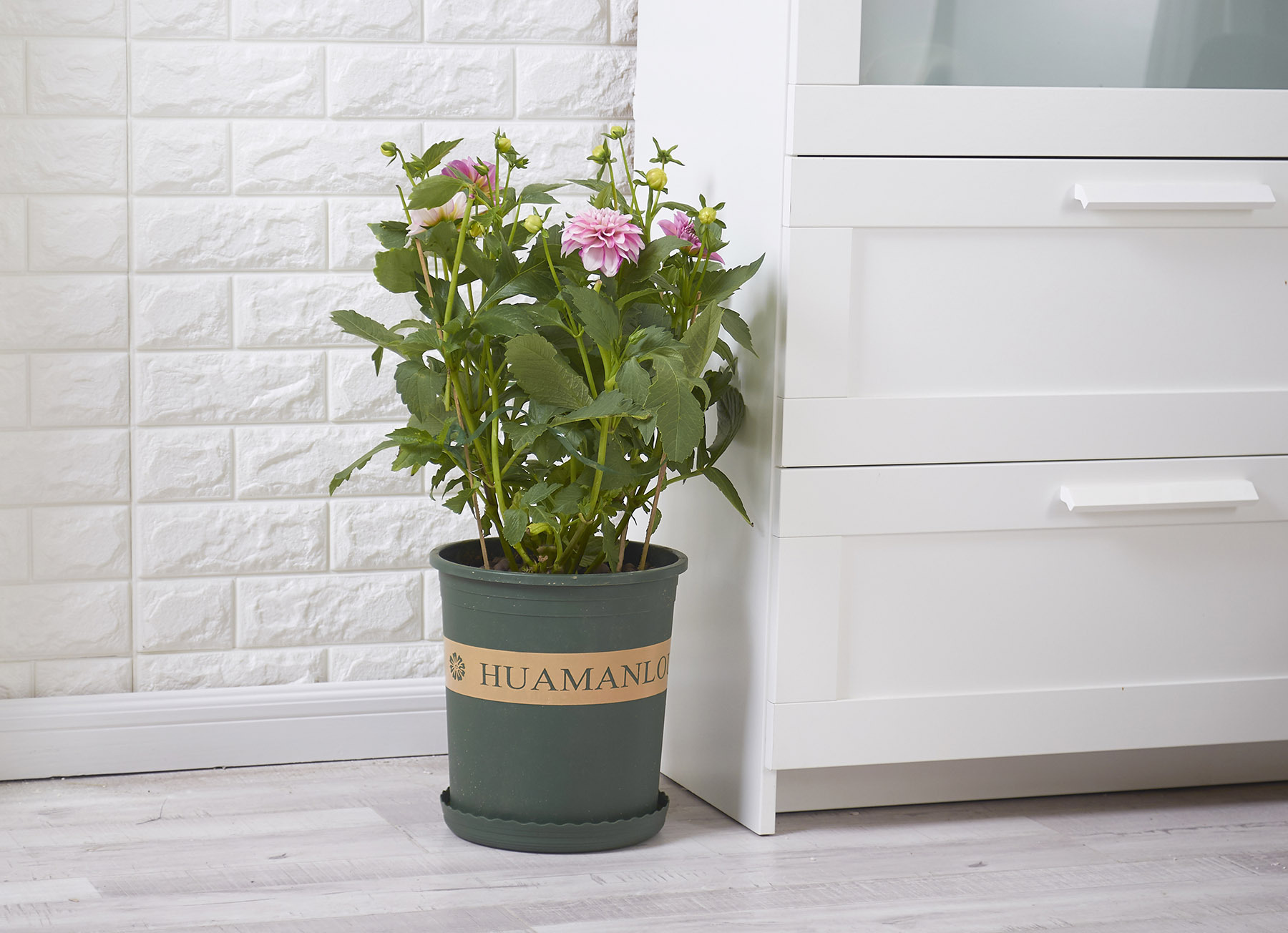 3加仑盆 圆形军绿印花盆 月季铁线莲创意深型塑料盆栽花盆种植盆