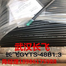 厂价直销长飞直埋重铠光缆GYTA53-4B1.3，双铠装双层护套单模光纤