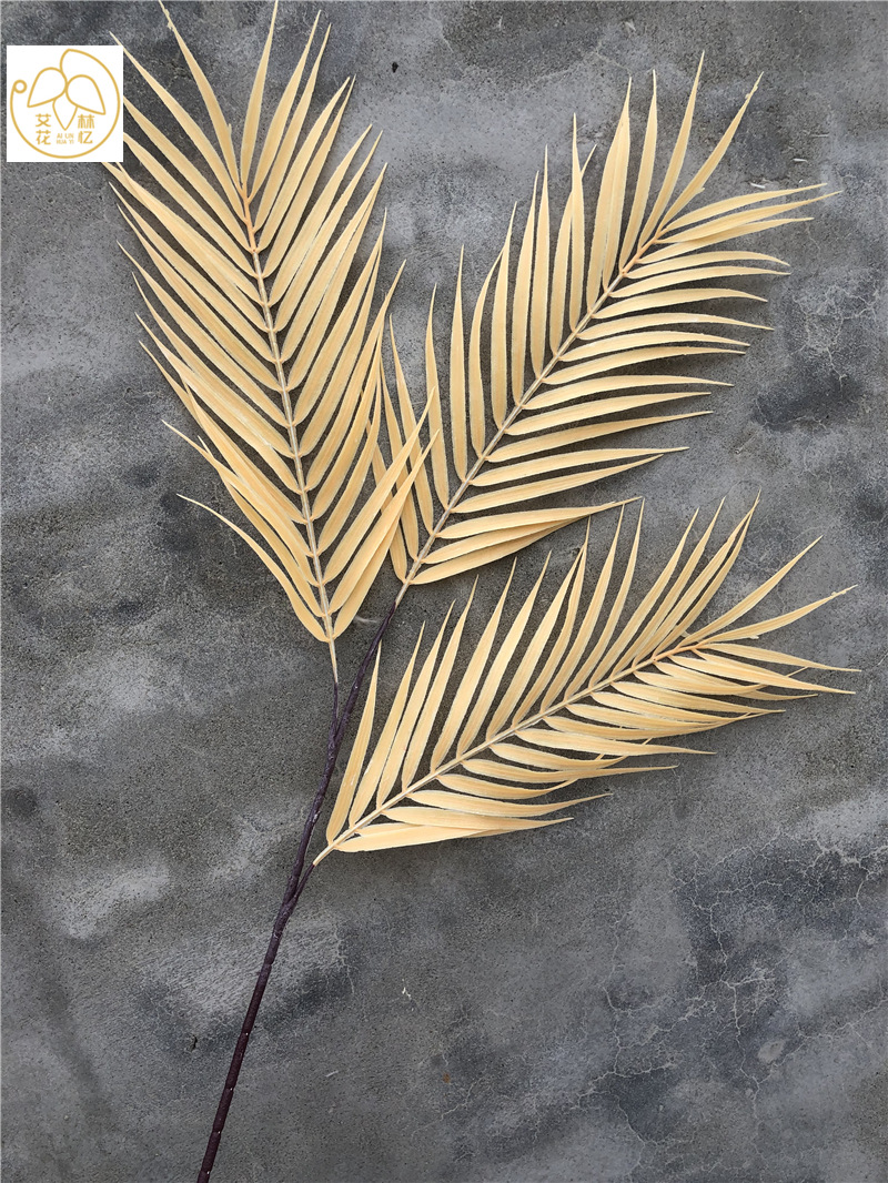 仿真3叉凤尾叶 网红少女色 梦幻散尾叶彩色葵叶婚庆插花搭配装饰