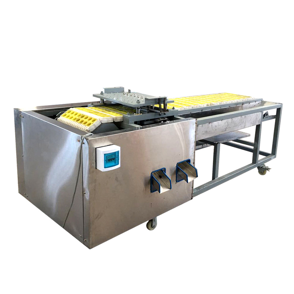 新疆 哈密大枣 哈密圆枣 捅核机 去核机 大型不锈钢材质