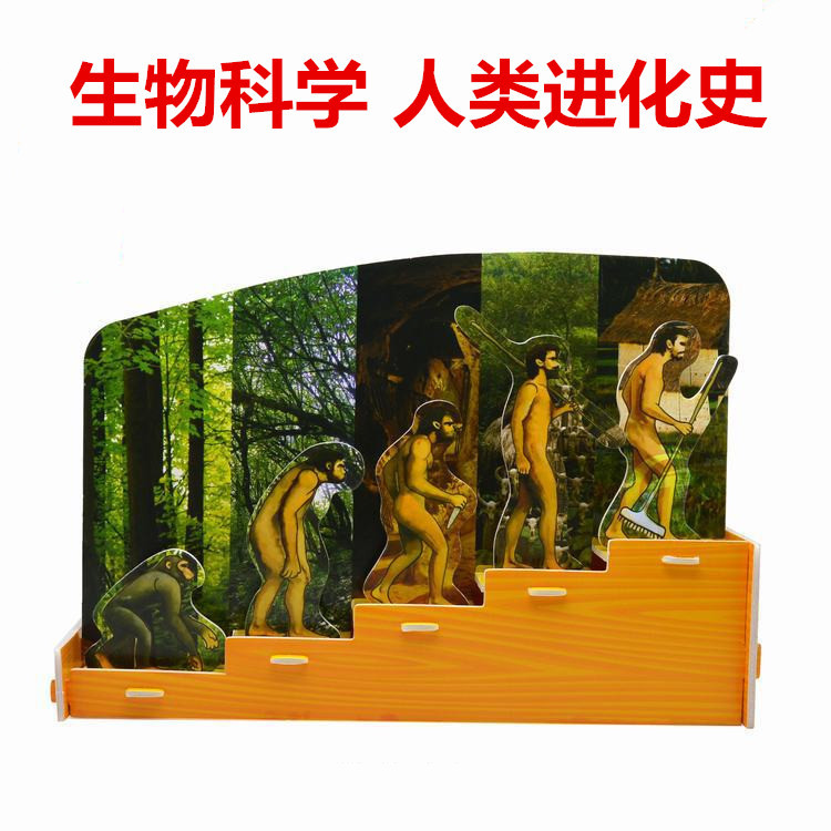 幼儿园diy益智拼图小制作科普人类进化史模型生物科学实验玩具