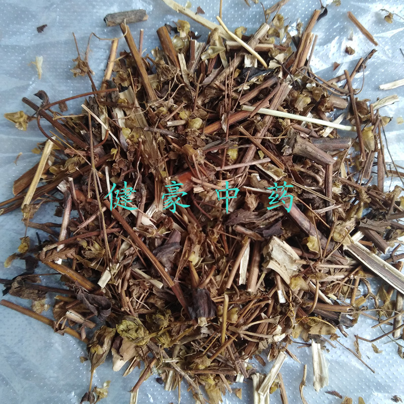 批发中药材青叶胆别名肝炎草 小青鱼胆 七疸药实物拍照不美化