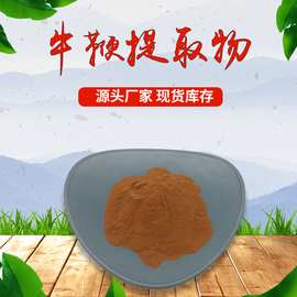 牛鞭提取物 30:1牦牛鞭粉 现货供应 动物牛鞭提取物 牛鞭粉 包邮