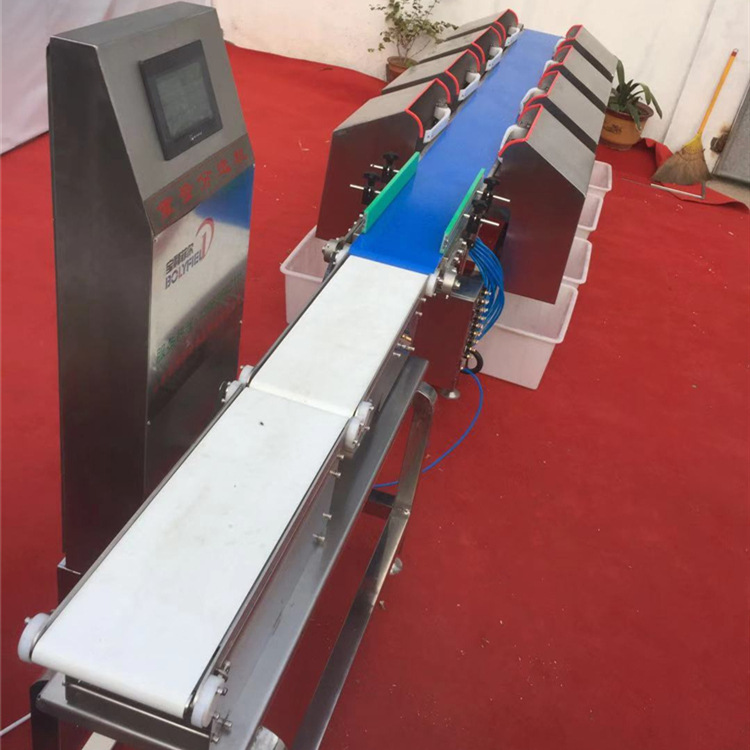 厂货重量分级机 皮带式三文鱼螃蟹鱿鱼玛卡禽类琵琶腿 称重分选机