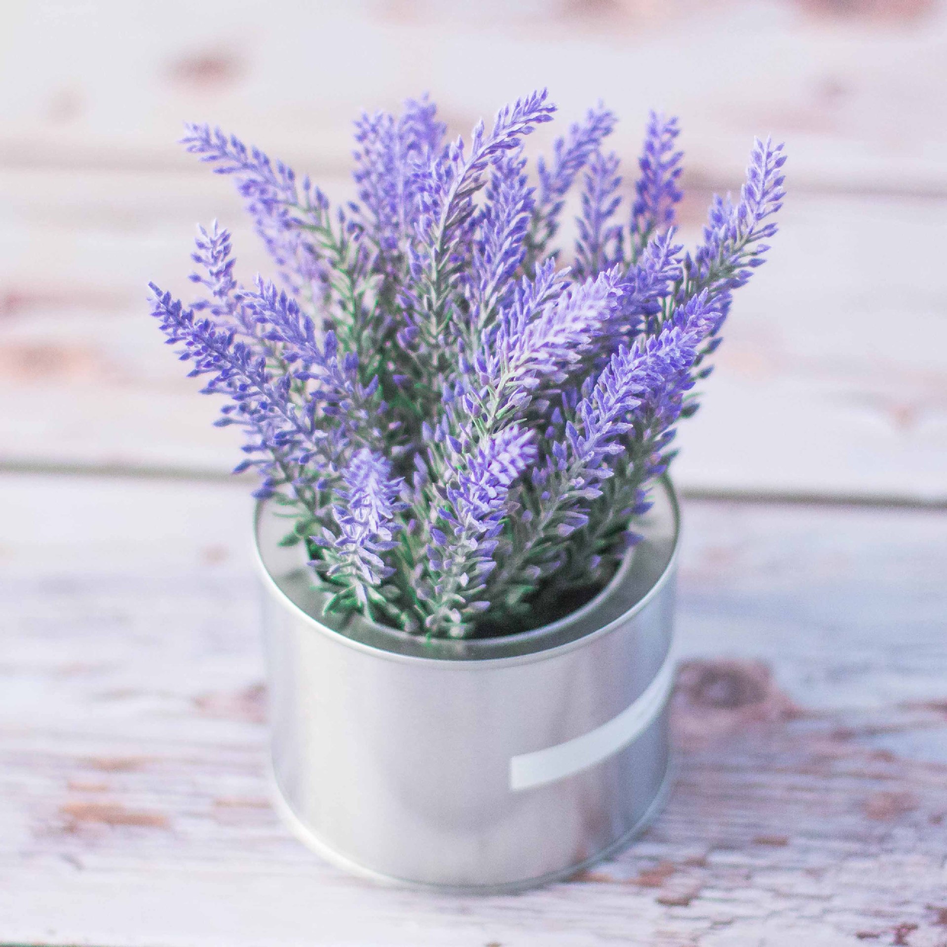 ins 北欧 薰衣草盆景绢花假花仿真花盆景盆栽客厅电视柜酒柜摆件