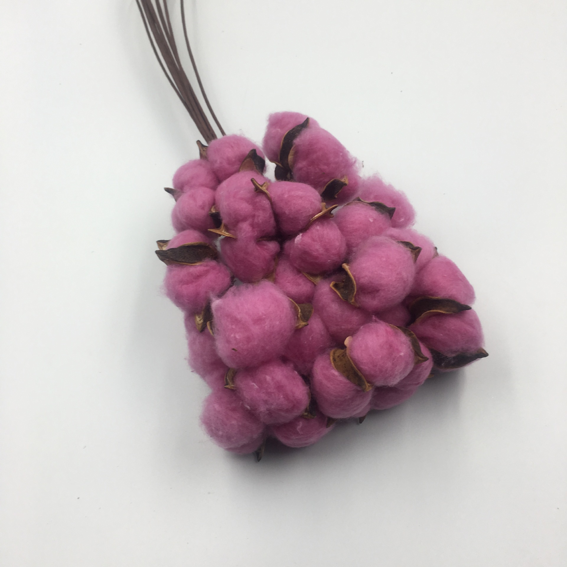 永生棉花干花 单支仿真假花棉花头拍摄道具插花配件艺术装饰