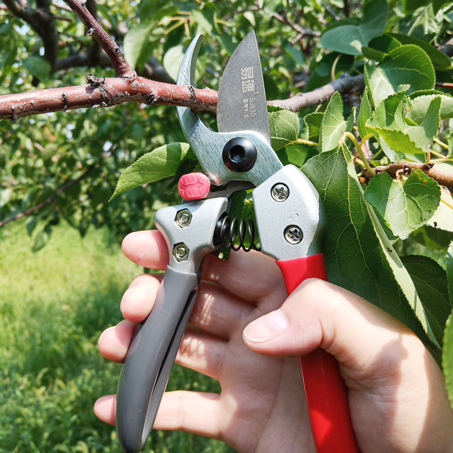 易速sj835修枝剪省力修枝剪园艺剪刀果树剪枝剪花枝剪葡萄枝剪子